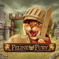 Feline Fury game screenshot